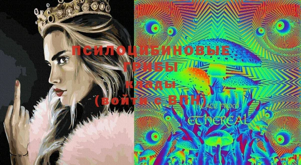 прущие крисы Приозерск