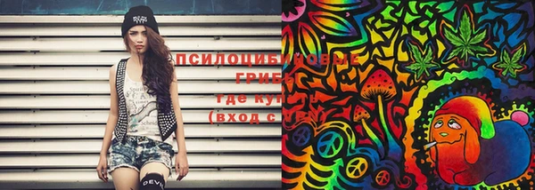 спиды Протвино