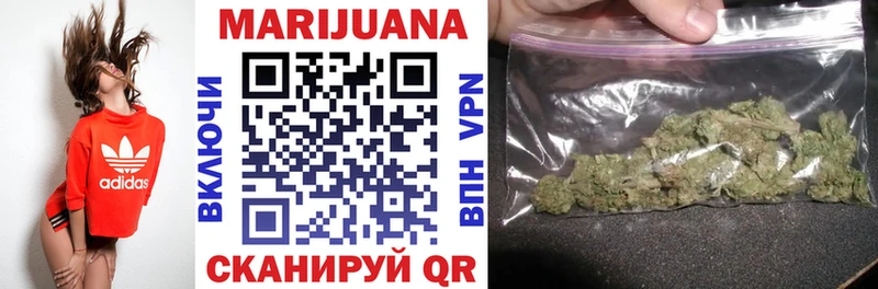 Купить где  Агрыз  Бошки марихуана OG Kush 